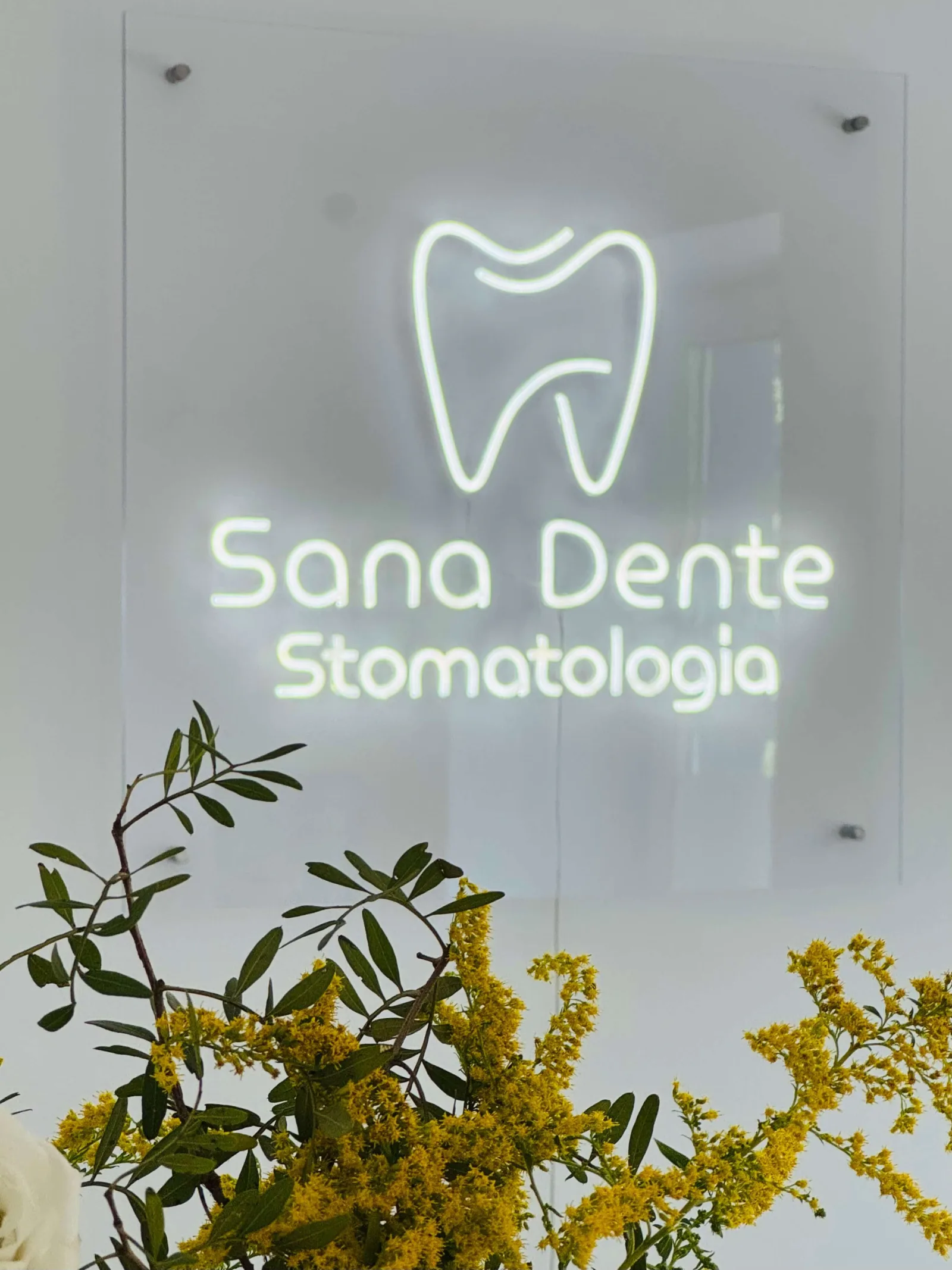 Wnętrze kliniki Sana Dente w Gdańsku Jelitkowie